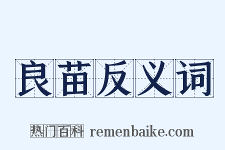 良苗反义词是什么意思的图片